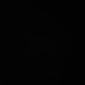 Meet your Posher, Sherri